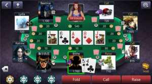 Computer Poker Play